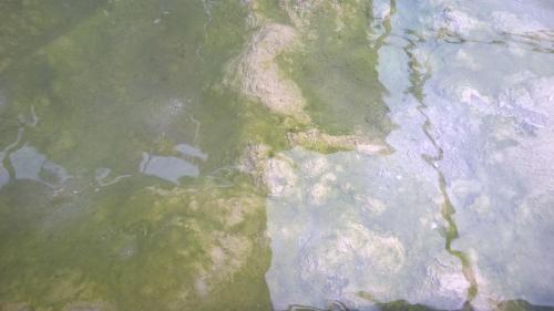 Hotel Terme Belvedere Αμπάνο Τέρμε Εξωτερικό φωτογραφία