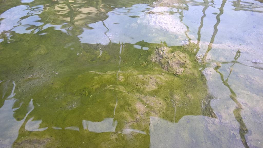 Hotel Terme Belvedere Αμπάνο Τέρμε Εξωτερικό φωτογραφία