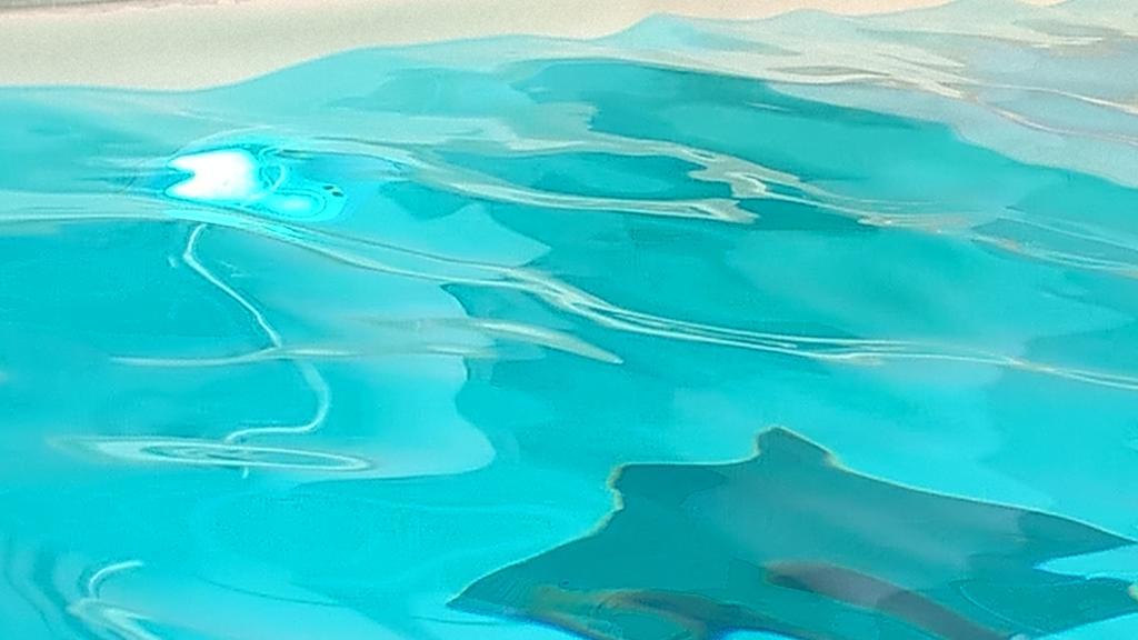 Hotel Terme Belvedere Αμπάνο Τέρμε Εξωτερικό φωτογραφία